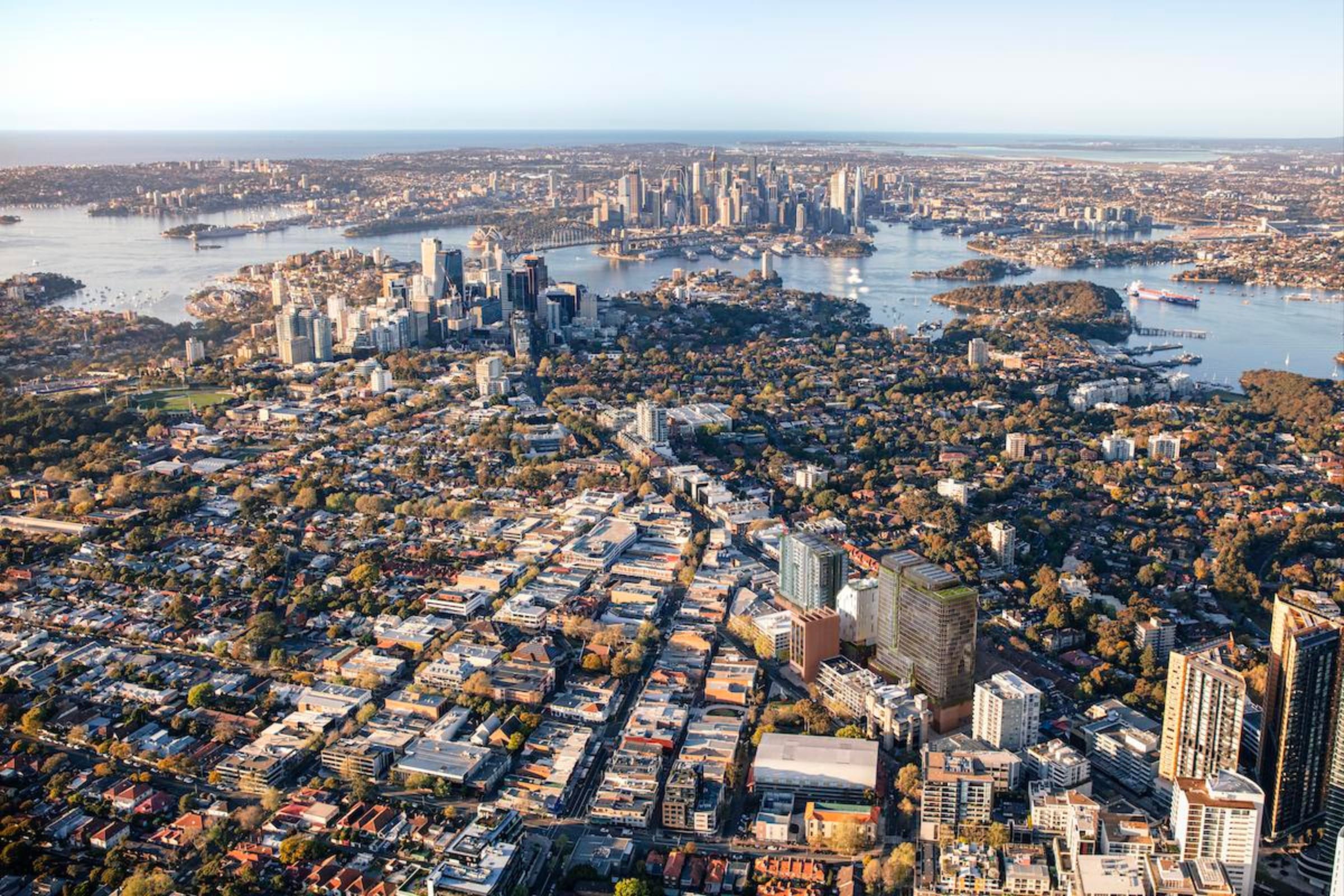 NSW Infill Reforms No Silver Bullet